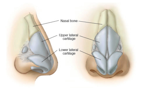 隆鼻手術-台北、台中、高雄